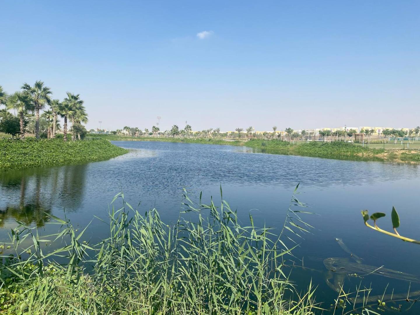Villa Victoria Damac Hills 2 Family Retreat With Waterpark And Petting Farm Dubai Esterno foto